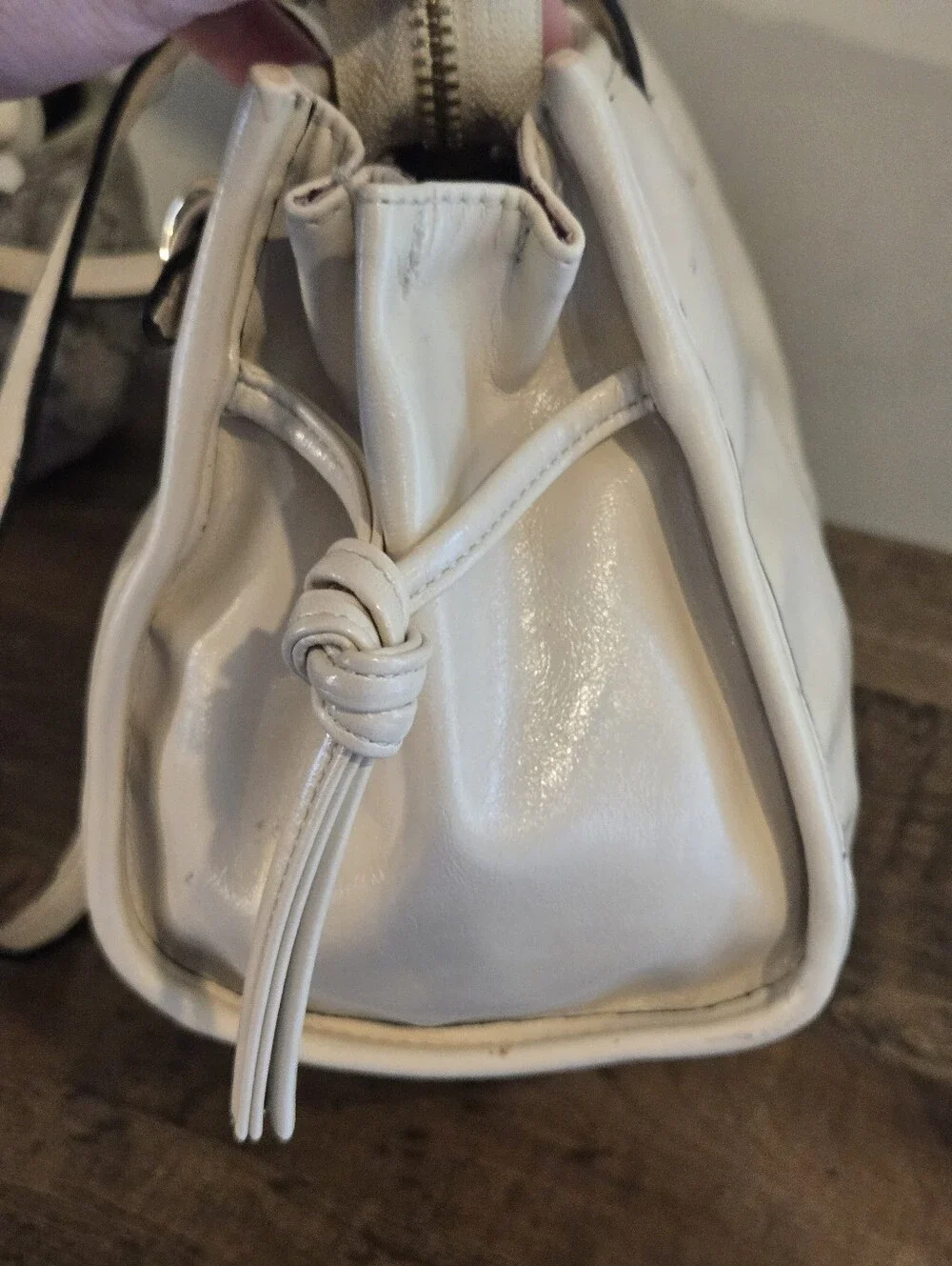 ALDO Lazarosx Bag